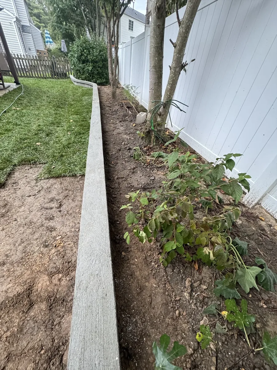 Storm water management tips for Washington DC yards — Actaeon blog